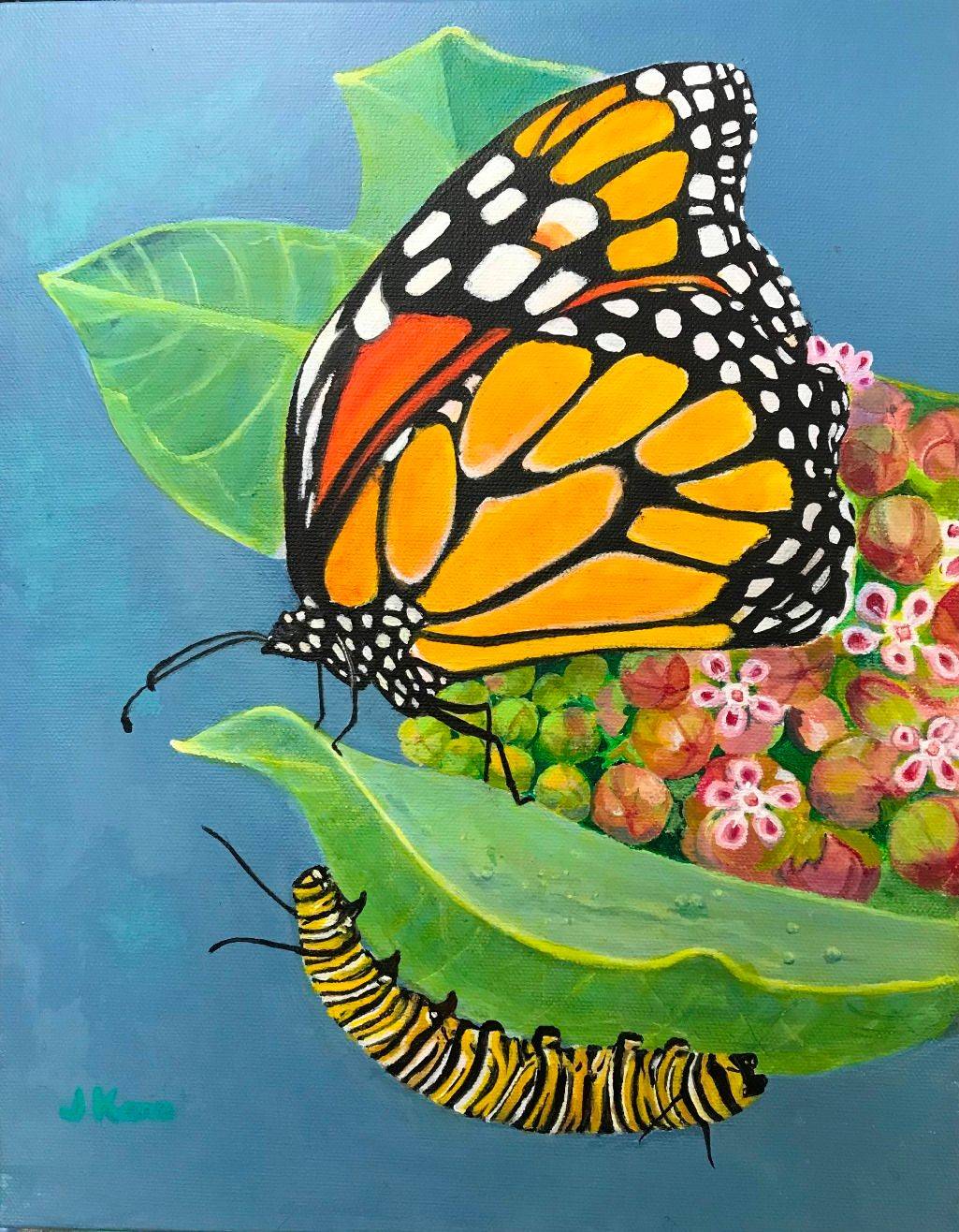 "Monarch Cycle"